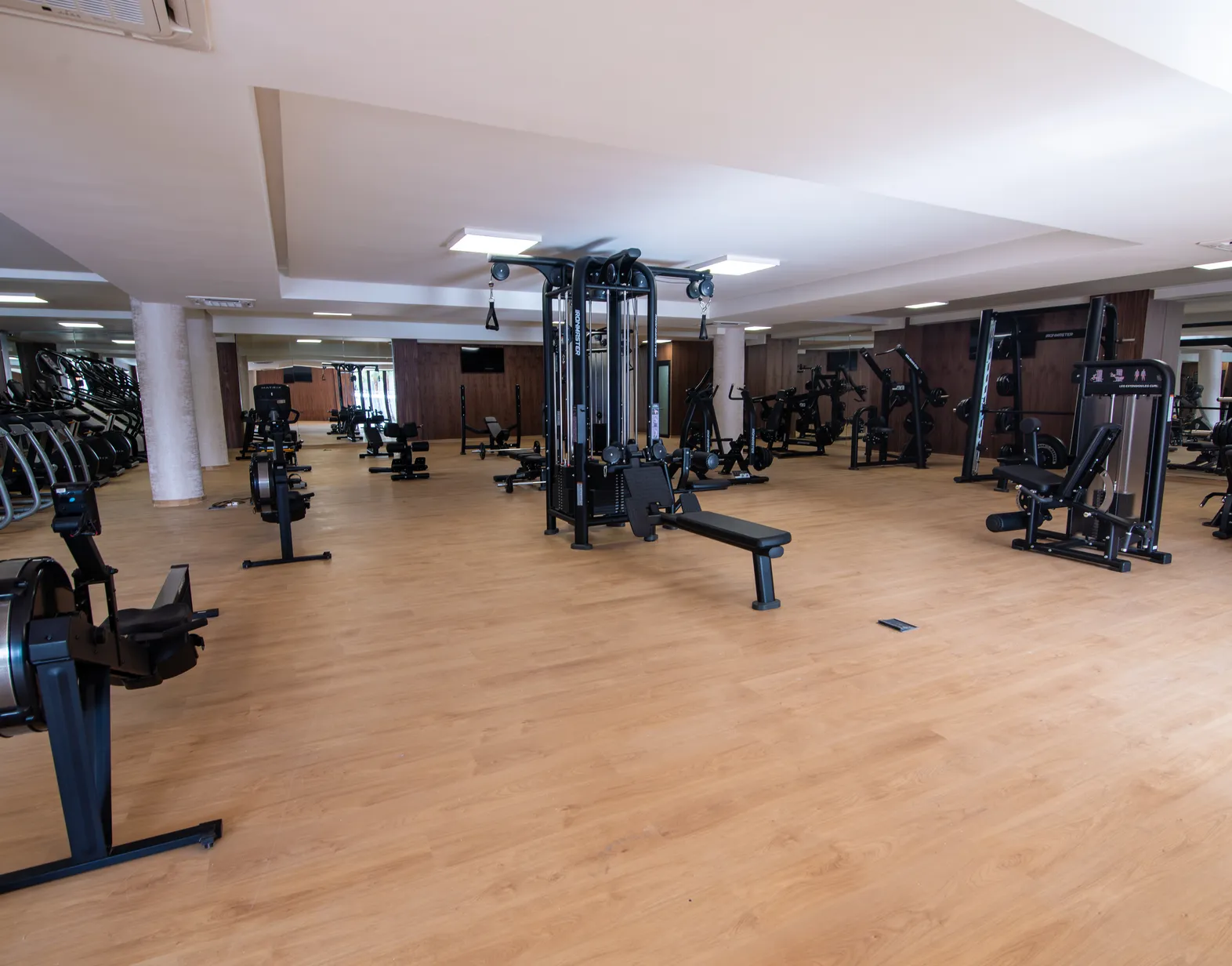 Wellness 4
